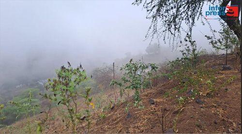 Santiago Norte: Agricultores já preparam terrenos e agendaram sementeira para segunda quinzena de Julho