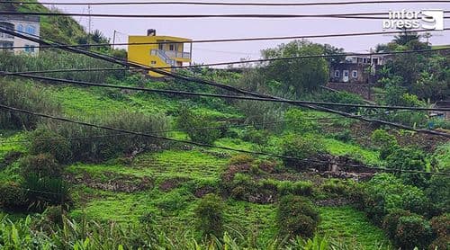 Brava: Biflores Association Highlights Recovery of the Agricultural Year and Calls for Crop Diversification 