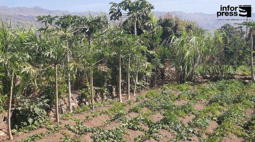 Porto Novo/Agricultura: Deputado vinca necessidade de uma nova campanha de prospecção de águas subterrâneas