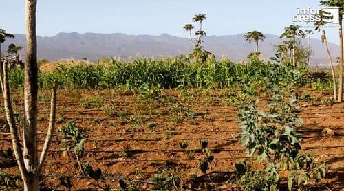 Porto Novo: Agricultores do perímetro da Ribeira Corujinha enfrentam penúria de água há quase um ano - associação
