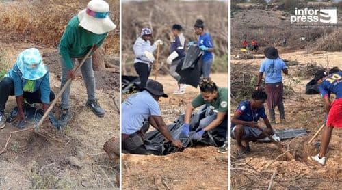 Maio: Bloqueio de fotossíntese permite remover cerca de 40 hectares de acácia e disponibilizar mais água (c/áudio)