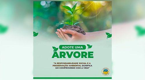 Câmara da Boa Vista lança campanha “Adote uma árvore” para recuperação de áreas verdes