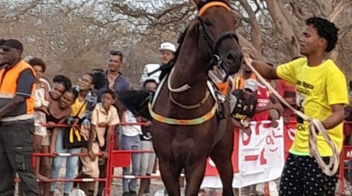 São Vicente: Cavalo Venon vence corrida de São João na Ribeira de Julião