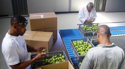 Porto Novo: Empresários interessados na aquisição do ex-centro de expurgo – MAA