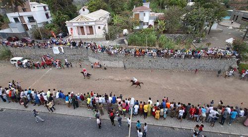 Paul/Festa do Município: Égua Triana vence corrida de Santo António das Pombas