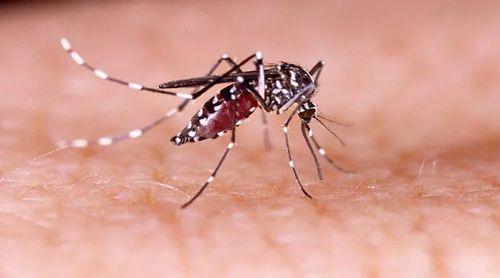 Brasil anuncia vacina contra dengue em dose única de produção local em 2026 