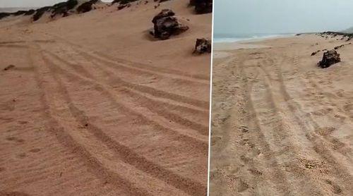 Boa Vista: Associação denuncia passagem ilegal de viaturas em praias de desova de tartarugas
