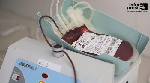 Doadores Voluntários: Nova presidente elege aumento da doação voluntária e modernização dos serviços como prioridades