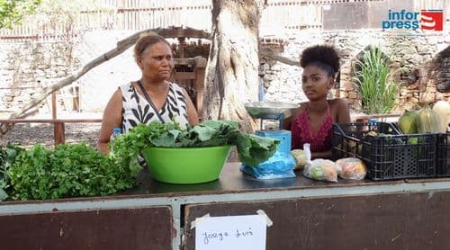 Porto Novo: Duas dezenas de produtores agrícolas participam na feira de empreendedorismo
