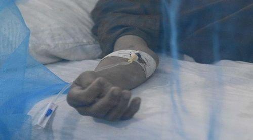 ENTREVISTA: Fundação quer colocar Timor-Leste nas orientações da OMS para combate à dengue