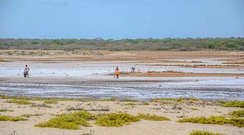 Maio: Reserva da Biosfera e água para agricultura são ganhos ambientais nos 50 anos de independência – MAA 