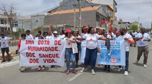 Santiago Norte reforça apelo à dádiva voluntária em encontro regional realizado em Santa Cruz
