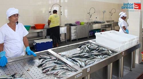 Porto Novo: Associação destaca envolvimento dos operadores de pesca nas acções de formação em curso neste município 