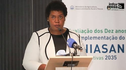 Ministra defende balanço crítico e construtivo de uma década do plano estratégico