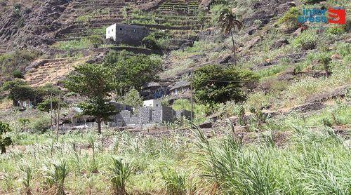 Porto Novo: Mobilização de água entre os maiores desejos dos agricultores porto-novenses