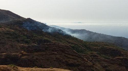 Porto Novo/Planalto Leste: Novo incêndio florestal deflagra no perímetro florestal 