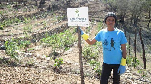 Santo Antão/Planalto Leste: Amupal prevê fixar mais de mil plantas no âmbito do projecto CIRAWA