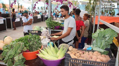 Porto Novo: Ministro do Turismo exorta agricultores a tirar proveito do mercado turístico do Sal e Boa Vista