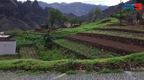 Porto Novo: Projecto de ordenamento da bacia hidrográfica de Jorge Luís/Ribeira da Cruz "continua na ordem do dia" – delegado      