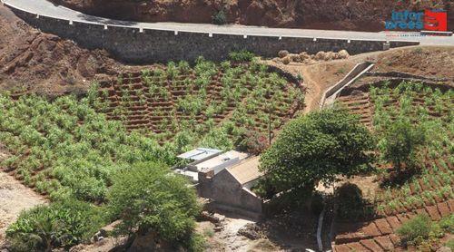 Porto Novo: Primeiro-ministro conclui visita a Santo Antão com inauguração da estrada Ribeira da Cruz – Chã de Branquinho