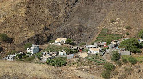 Porto Novo: Falta de água e pragas inquietam agricultores na localidade de Jorge Luís