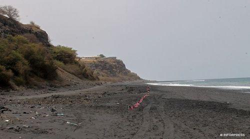 Fogo: Mais de uma tonelada de lixo retirada das três praias de desova de tartarugas marinhas