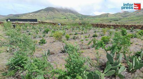 Porto Novo: ONG portuguesa satisfeita com resultados do campo experimental do Planalto Norte