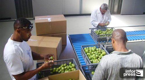 Porto Novo: Novo centro de expurgo pronto ainda no decorrer de 2024 – responsável