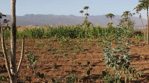 Porto Novo/Agricultura: Máquinas para execução de dois furos já se encontram no município