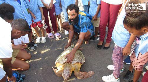 Porto Novo/Dia do Planeta: Terrimar pede reflexão sobre o impacto do plástico na vida marinha