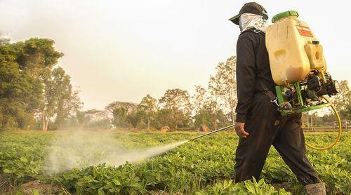 Cabo Verde acolhe 4.ª sessão ordinária do Comité da África Ocidental para provação de Pesticidas