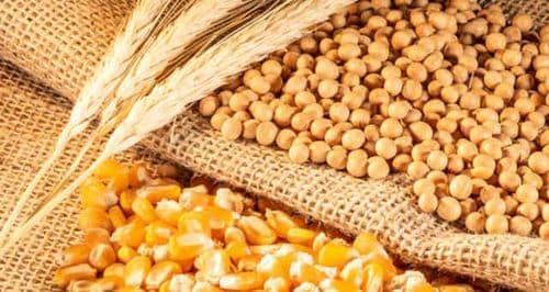 Mercado mundial: Preços dos produtos alimentares com tendência mista na semana de 13 a 19 de Março