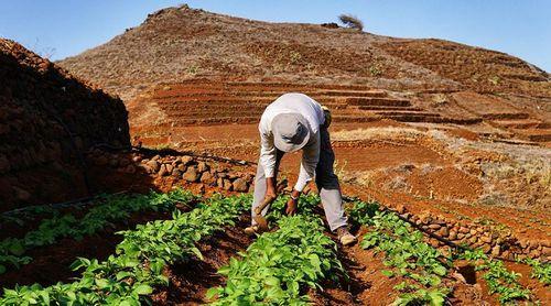 Porto Novo: Associação dos Agricultores em Morro Cavalo procura parcerias para resolver problema de armazenamento de água - presidente