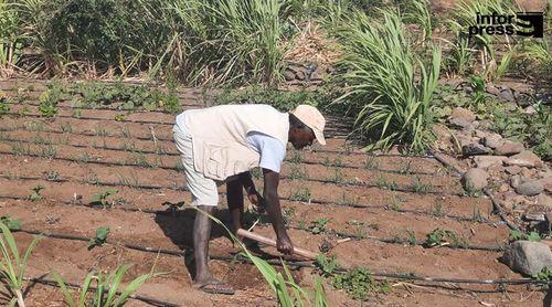 Porto Novo vai ganhar novos perímetros agrícolas no âmbito do programa de mobilização de água de rega