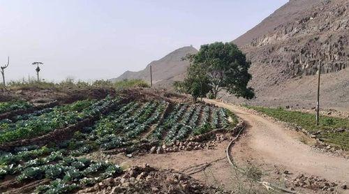 Porto Novo: Circulação de veículos na estrada para Ribeira Fria restabelecida graças à intervenção dos proprietários – representante