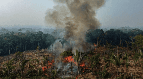 Lula apela aos países ricos financiamento à Amazónia em plena vaga de incêndios