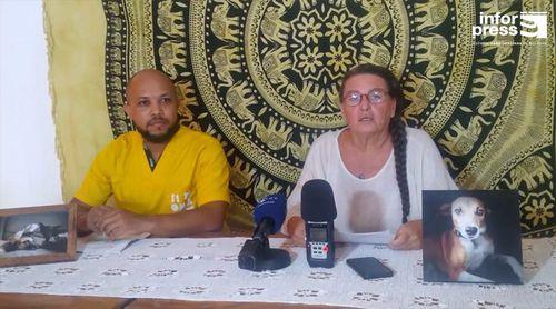 São Vicente: Simabô desmente câmara municipal e assegura que problema de cães persiste devido à falta de colaboração