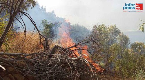 Santo Antão/Planalto Leste: Incêndio consome mais de dez hectares da floresta - Protecção Civil