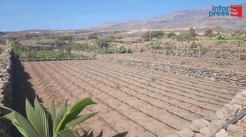 Porto Novo: Iniciadas obras de perfurações e terraplanagem do local destinado à central energética fotovoltaica