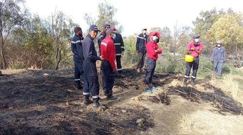 Porto Novo/Planalto Leste: Incêndio florestal está controlado - responsável 