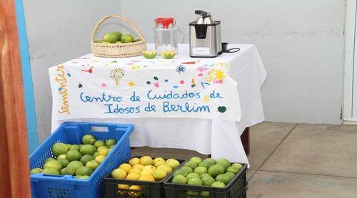 Porto Novo: Campanha “vitaminas de nós terra” é uma oportunidade para agricultores terem rendimentos e evitar perdas– associação