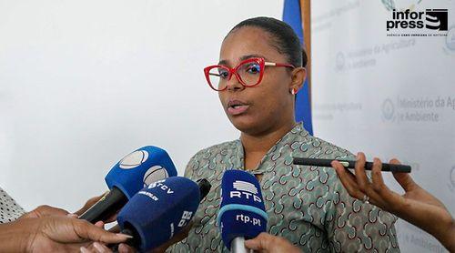 Modelo de gestão e aumento das áreas protegidas entre desafios da conservação da biodiversidade em Cabo Verde - directora do MAA