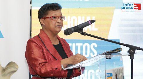 Criação de grupos de trabalho vai permitir resposta mais célere na temática dos direitos humanos - CNDHC