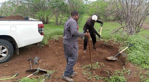 Fundação Maio Biodiversidade promove educação ambiental através de viveiros escolares