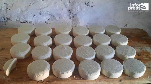 Porto Novo/Planalto Norte: Certificação do queijo continua nos planos dos produtores