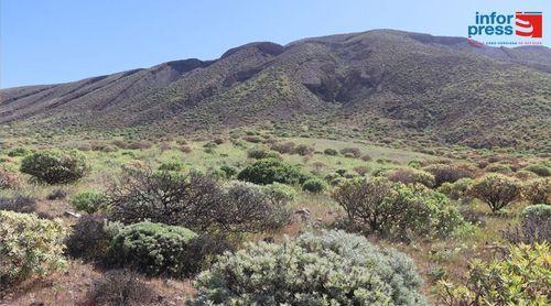 Porto Novo: Comitê comunitário do parque natural de Topo de Coroa sensibiliza criadores sobre confinamento