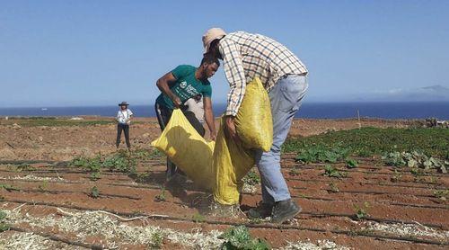 Porto Novo: Jovens agricultores da Casa de Meio dizem que água disponibilizada já não atende às necessidades