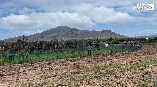 Boa Vista: Governo vai conceder terrenos a agricultores e criadores