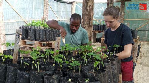 Fundação Maio Biodiversidade aposta em mudas de plantas nos viveiros da Calheta e Parque Natural da ilha