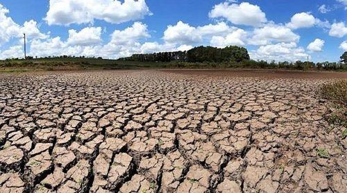 Zimbabué declara estado de calamidade devido à seca e pede ajuda internacional